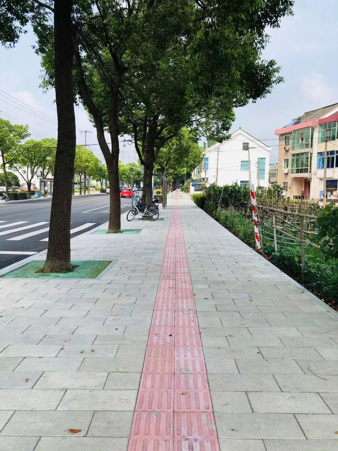 上海70条道路入围“精品示范路”名单!有你家附近的吗?-第11张图片-蓝狮娱乐 上海70条道路入围“精品示范路”名单!有你家附近的吗?-第11张图片-蓝狮娱乐