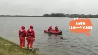 女子跳湖轻生躲避救援，消防员乘皮划艇追逐救起