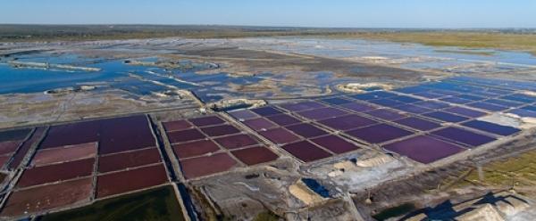 钾肥龙头盐湖股份子公司涉嫌非法采矿，将减少利润3.57亿
