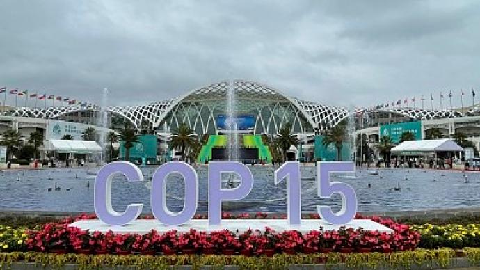 15�|元��踊�金！中方在COP15提出的重大宣示振�^①人心