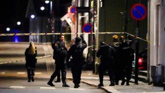 挪威警方确认发动弓箭袭击者是丹麦公民，袭击动机不明