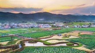 明年1月起，广东省农户每户每年住房保险金额提高至11万元