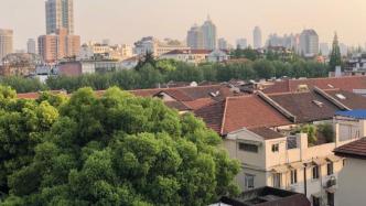 上海这座超大城市，如何突破瓶颈新增造林空间？