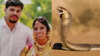 印度一男子两次放蛇杀妻，被判无期徒刑