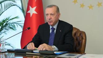 土耳其总统：人类命运不能也不应任由一小部分二战胜利国摆布