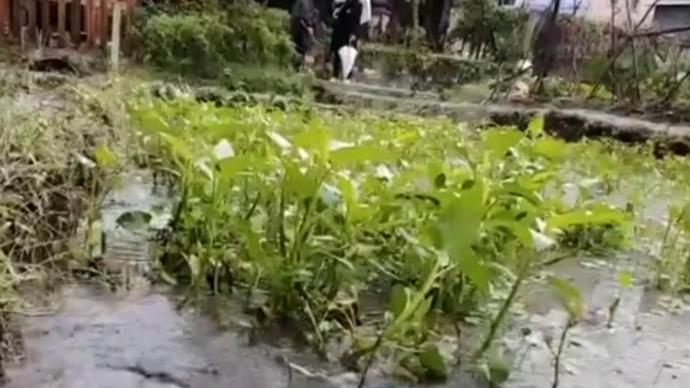 重庆沙坪坝地震后，当地溪河及菜地里冒出“温泉”