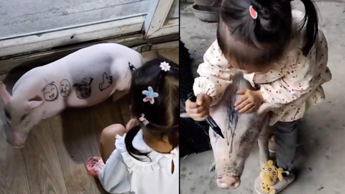 小猪安静让3岁萌娃涂鸦按摩，母亲：有了小猪孩子远离了手机