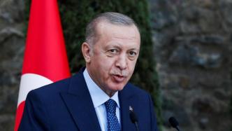 土耳其总统宣布美国等10国大使为“不受欢迎的人”