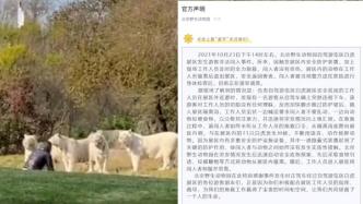 北京野生动物园：游客非法闯入与11只白虎对峙，不断挑衅