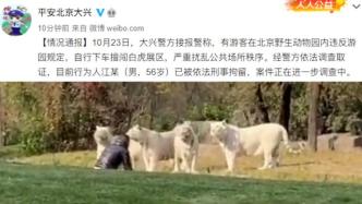 56岁游客擅闯北京野生动物园白虎展区，已被刑拘