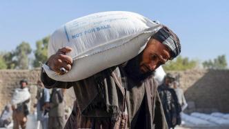 阿富汗民众或将在今冬遭遇饥荒，联合国呼吁国际社会进行援助