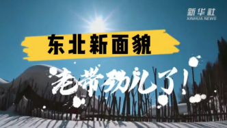 新思想引领新征程·时代答卷丨习近平总书记谋划推动东北全面振兴谱写新篇章