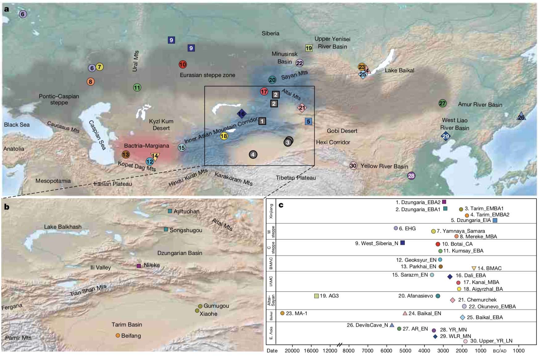 这项研究中新疆青铜器时代考古遗址概况。