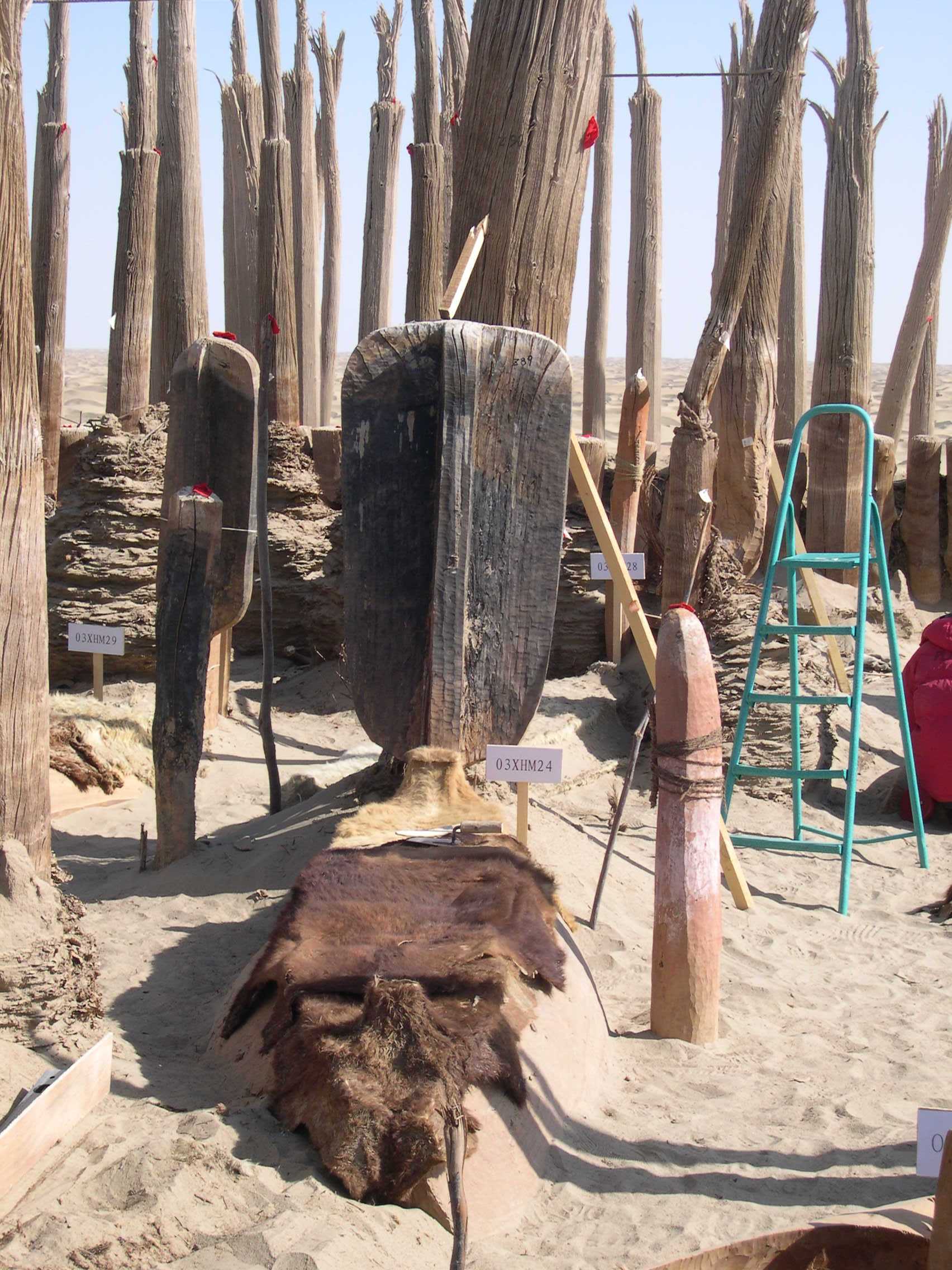 小河墓地代表性的带桨船棺，棺上盖着牛皮。图片来自新疆文物考古研究所李文瑛