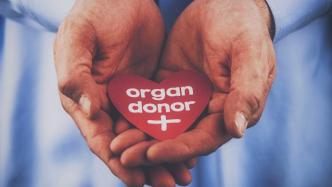 社工自述丨活体器官捐献者的善意，该如何保护？