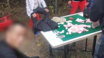 赌博窝点藏身山林，蚌埠警方突袭抓获涉赌人员16名