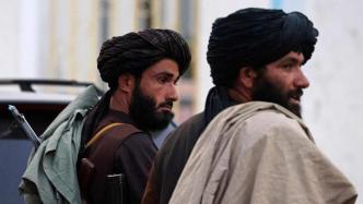美媒：担心塔利班追捕，部分阿富汗前官员投靠“伊斯兰国”