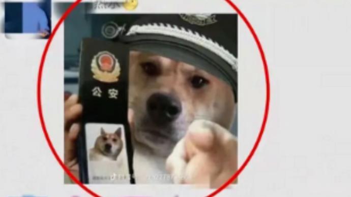 网友在微信群发“狗狗表情照”被指辱警：构成寻衅滋事拘9天