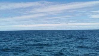 埃尼奖得主王中林谈蓝色海洋能源：未来成本预计比光伏风电低