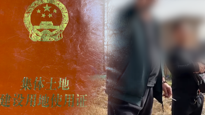 视频 澎湃新闻 thepaper.cn