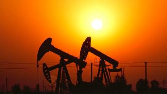 胜利油田页岩油获战略突破，首批预测储量4.58亿吨