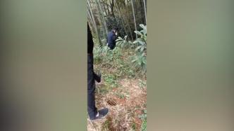 益阳流源桥附近树林中发现尸体，警方介入调查