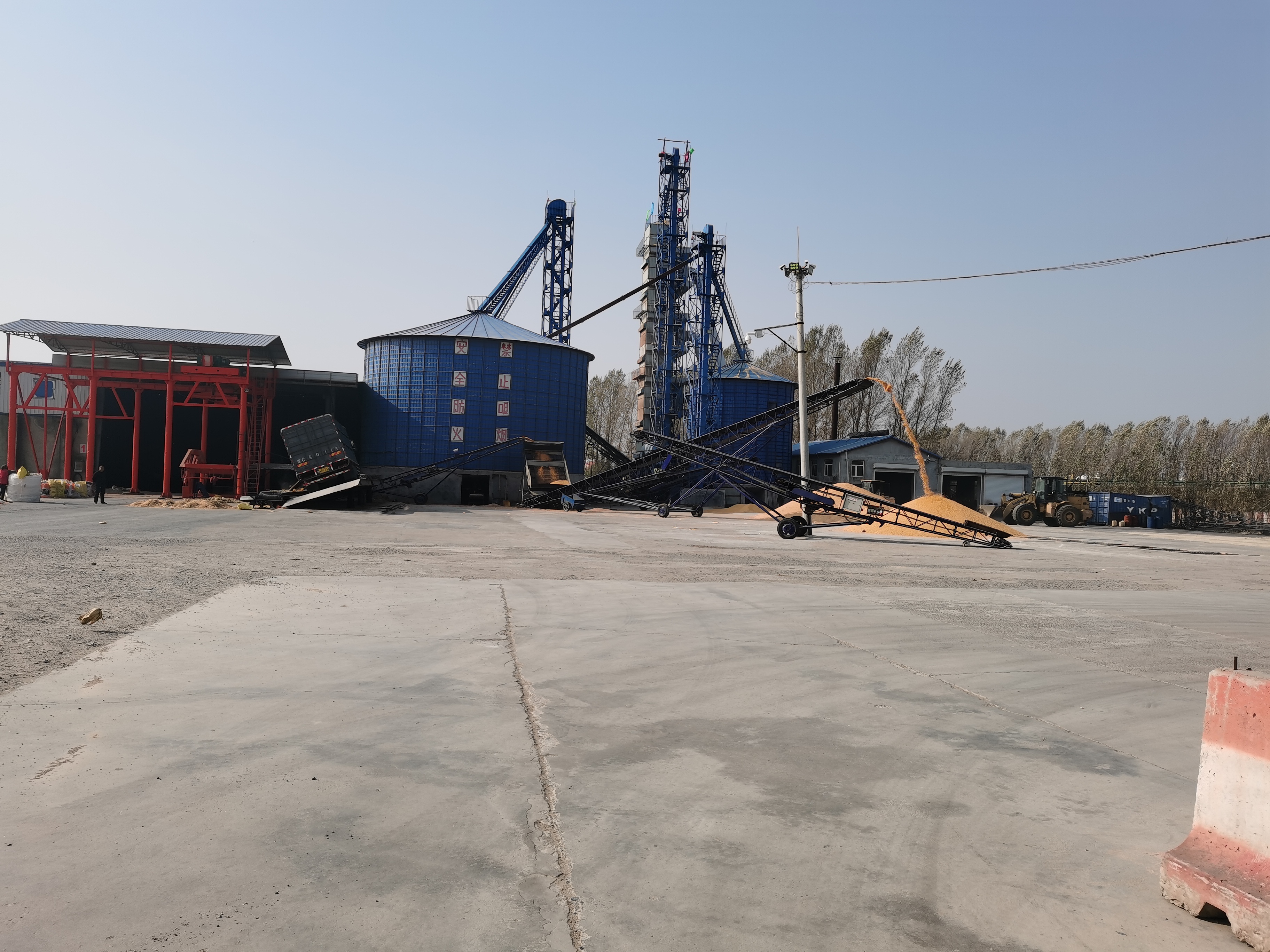 乡村共富策③吉林孙家屯村:留守村民如何实现年增收4万元