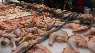 香港暂停进口荷兰和丹麦部分地区禽肉及禽类产品
