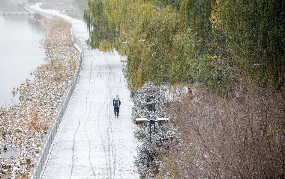 2021年11月6日,内蒙古呼和浩特,市民雪中出行。