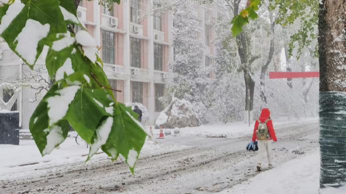 立冬节气，全国各地像约好了一起下雪