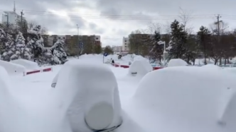 内蒙古通辽：暴雪过后，找车就像开盲盒