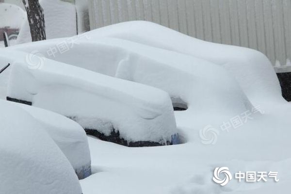 7日，辽宁锦州遭遇暴雪，车辆被厚厚积雪覆盖。（图/王国军）