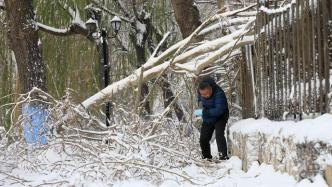 吉林、内蒙古等地遭遇雪灾，在京参会的党委“一把手”远程部署救灾