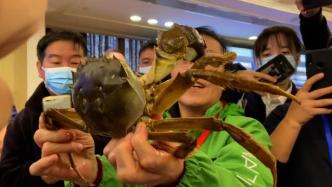 2000余只河蟹在沪争霸！今年的“蟹王”体重超644克