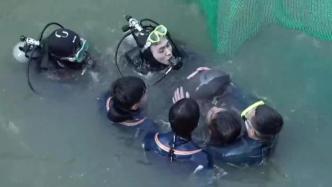 误入杭州苕溪的江豚被救上岸后运输途中死亡，将解剖确定死因