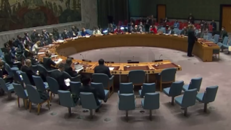 联合国安理会举行高级别会议，中方呼吁实现包容性发展