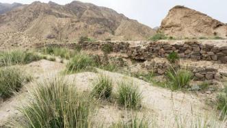 北大考古与“百年百大考古发现”｜青海都兰热水墓群