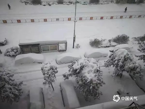 大雪封門東北內蒙古積雪破紀錄專家解讀極端強降雪成因