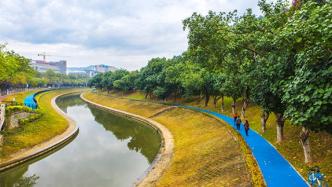 广州全面河长制五周年：两获国家激励，147条河涌消除黑臭