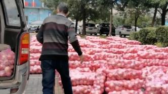 农妇患癌家中七千斤苹果滞销，洛阳志愿者爱心接力