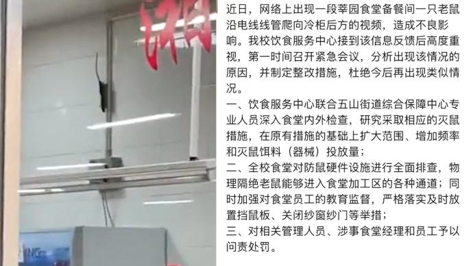 华南农大通报老鼠食堂爬行：问责处罚多名责任人