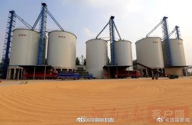 9510万吨！河南省粮食仓容量位居全国第一