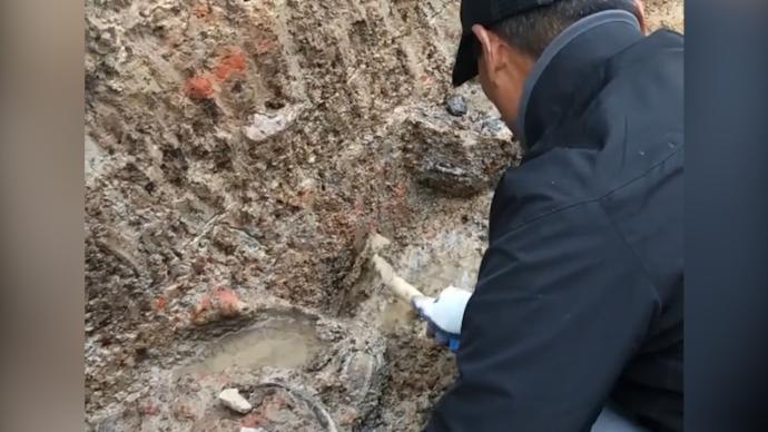 浙江舟山发现六千多年前河姆渡文化遗址