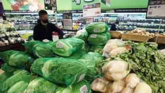 韩国白菜价格暴涨70%：腌制100棵泡菜要花6500元