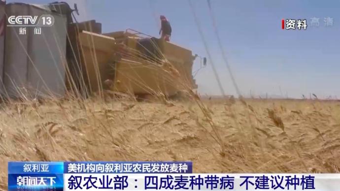 美向叙利亚农民发放麦种，叙农业部：不建议种植