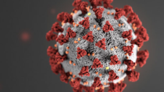 严重变异的新冠病毒新毒株敲响全球警钟：可能影响疫苗有效性