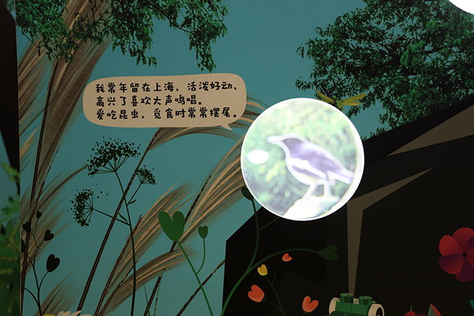 通过窥视镜,小观众可以仔细观看上海的本土小动物