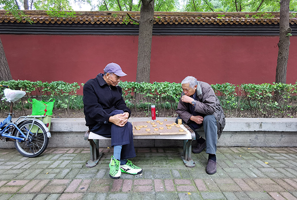 2021年10月14日,重阳节,景山公园红墙黄瓦下,老人在下象棋。人民视觉 资料图