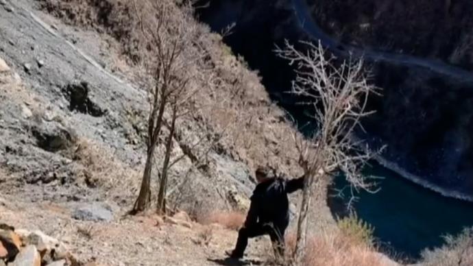 二级保护动物斑羚被困非法捕猎索套，民警腰间系绳下悬崖救援