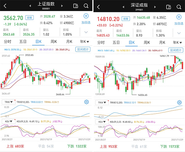 597.jpg